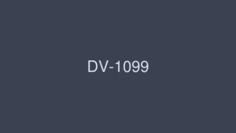 DV-1099 Venus Festa 4 Manufacturer Exclusive Actress Dream Gangbang Special! !