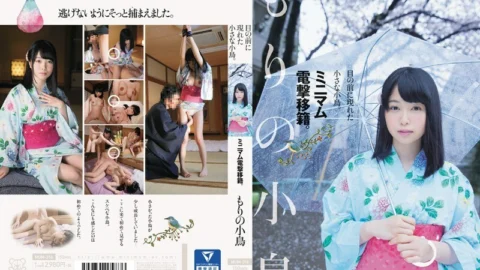 MUM-316 A small bird that appeared in front of me. Minimum electric shock transfer. Kotori Morino