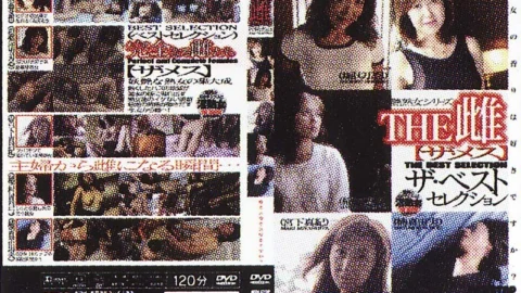 DKJB-02 THE BITCH BEST SELECTION – Maki Miyashita
