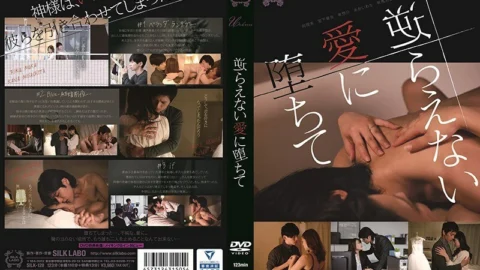 SILK-128 Fall into irresistible love