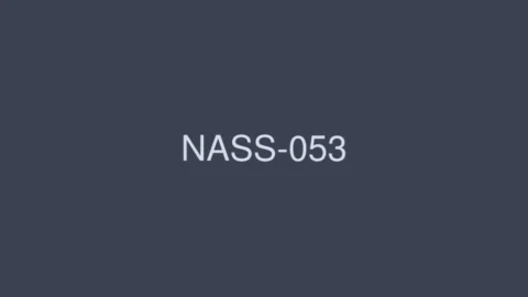 NASS-053 Obedient Housewives: Housewives who are humiliated, punished, and trained